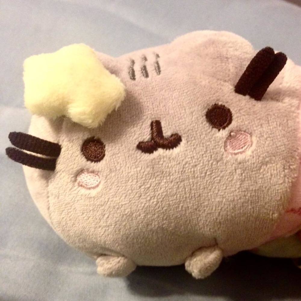 Meet your Posher, Kelly