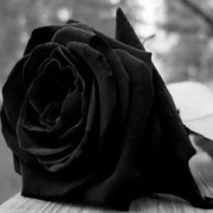 Meet your Posher, Sergio