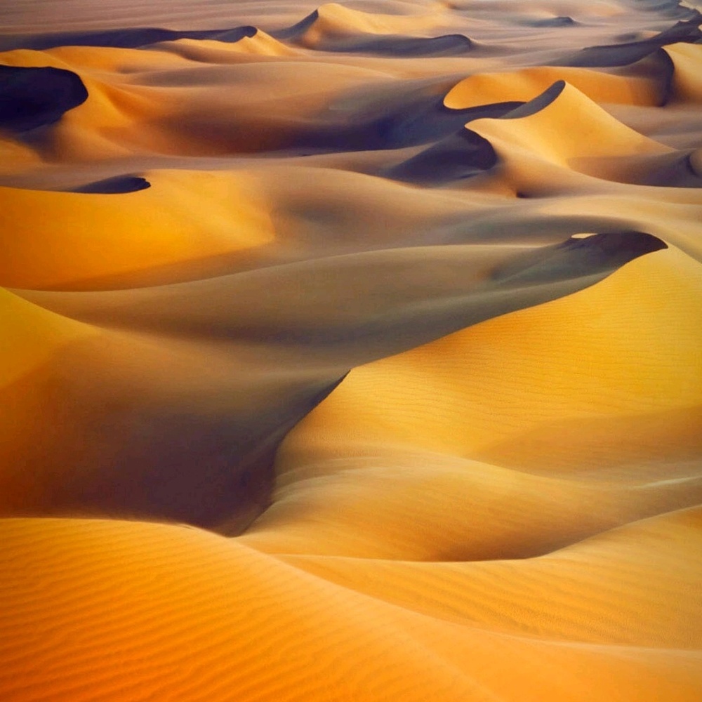 Meet your Posher, Harriette