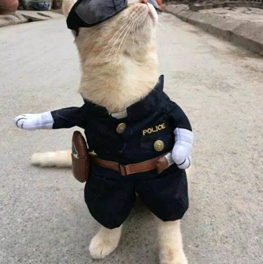 Meet your Posher, Claudia