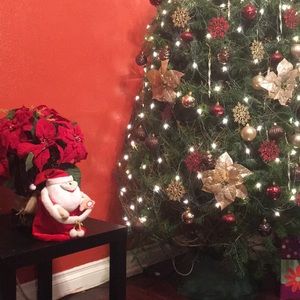 Meet your Posher, Elva