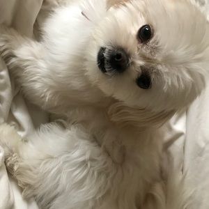 Meet your Posher, Mariah