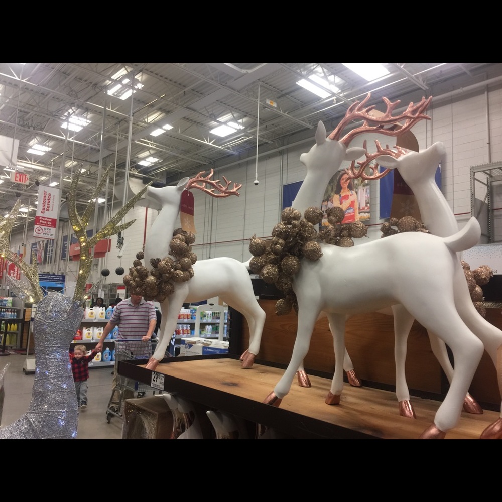 Meet your Posher, Renee