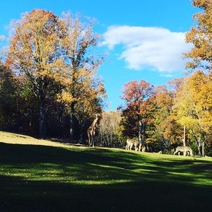 Meet your Posher, Aiko