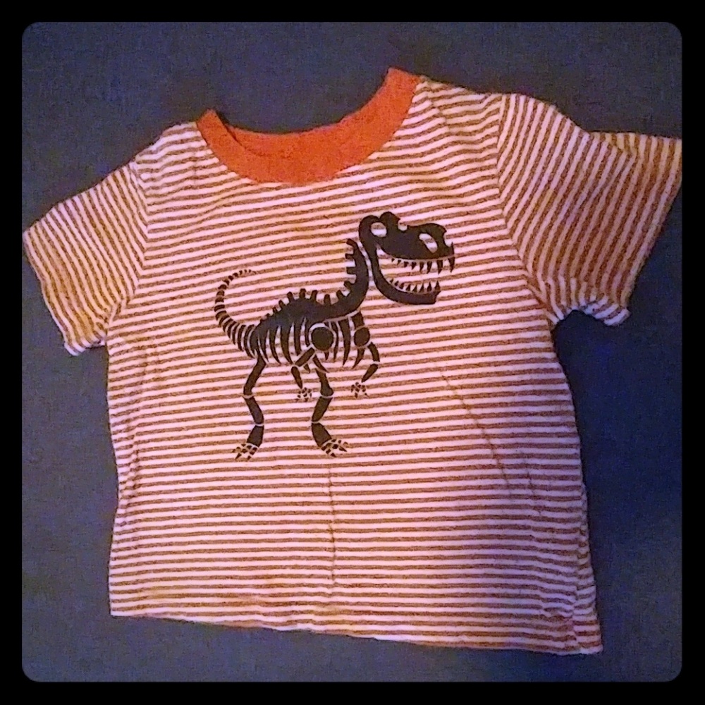 24 month dinosaur Circo tee.