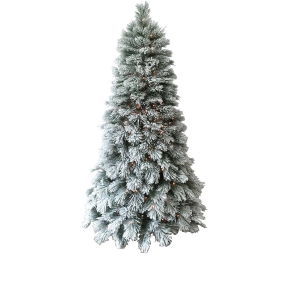 Meet your Posher, Jill - Picture 1 of 1