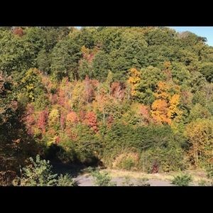 Meet your Posher, Penny