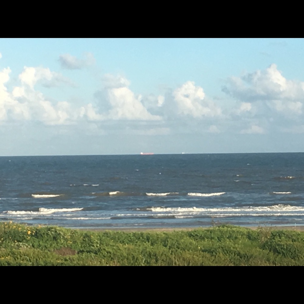 Meet your Posher, Paige