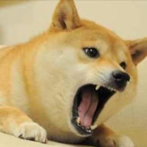 Meet your Posher, Julian