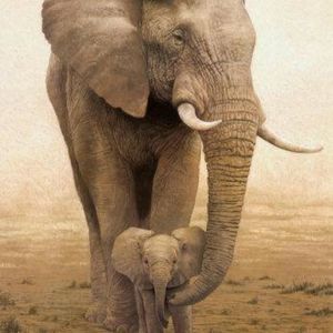 Meet your Posher, Brenda