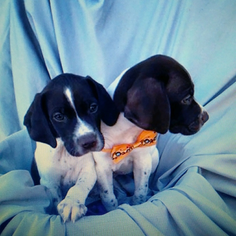 Meet your Posher, Riki