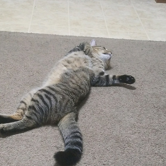 Meet your Posher, Angela - Picture 1 of 1