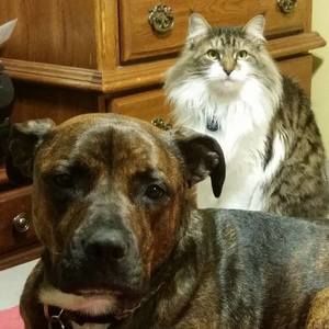 Meet your Posher, Debbie