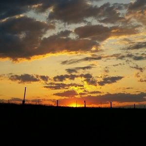 Meet your Posher, Dorene