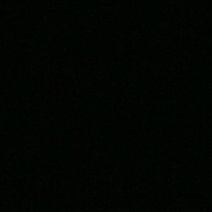 Meet your Posher, Niecy