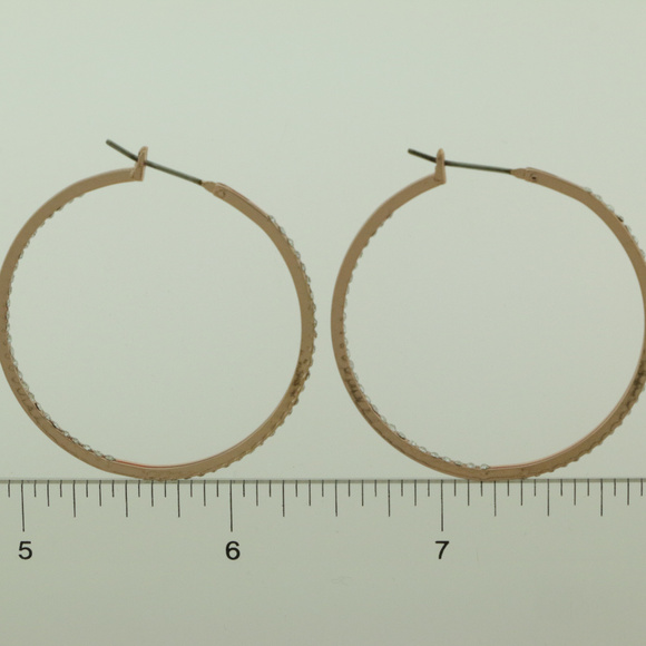 NWT gold pave crystal pincatch hoop earring LTDE57 - Picture 7 of 7