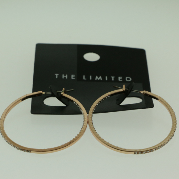 NWT gold pave crystal pincatch hoop earring LTDE57 - Picture 6 of 7