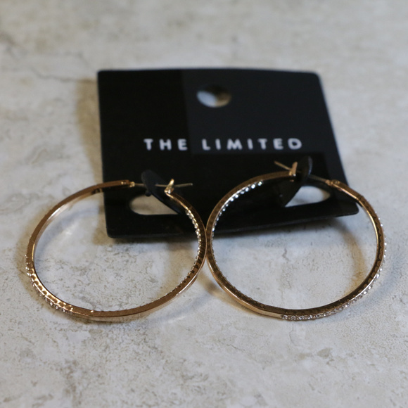 NWT gold pave crystal pincatch hoop earring LTDE57 - Picture 3 of 7