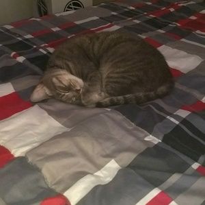 Meet your Posher, Fadzil