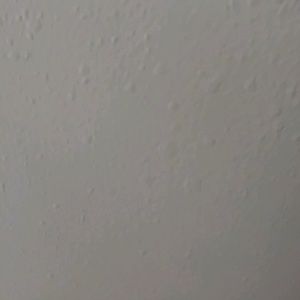 Meet your Posher, Darnell