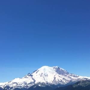 Meet your Posher, Damien