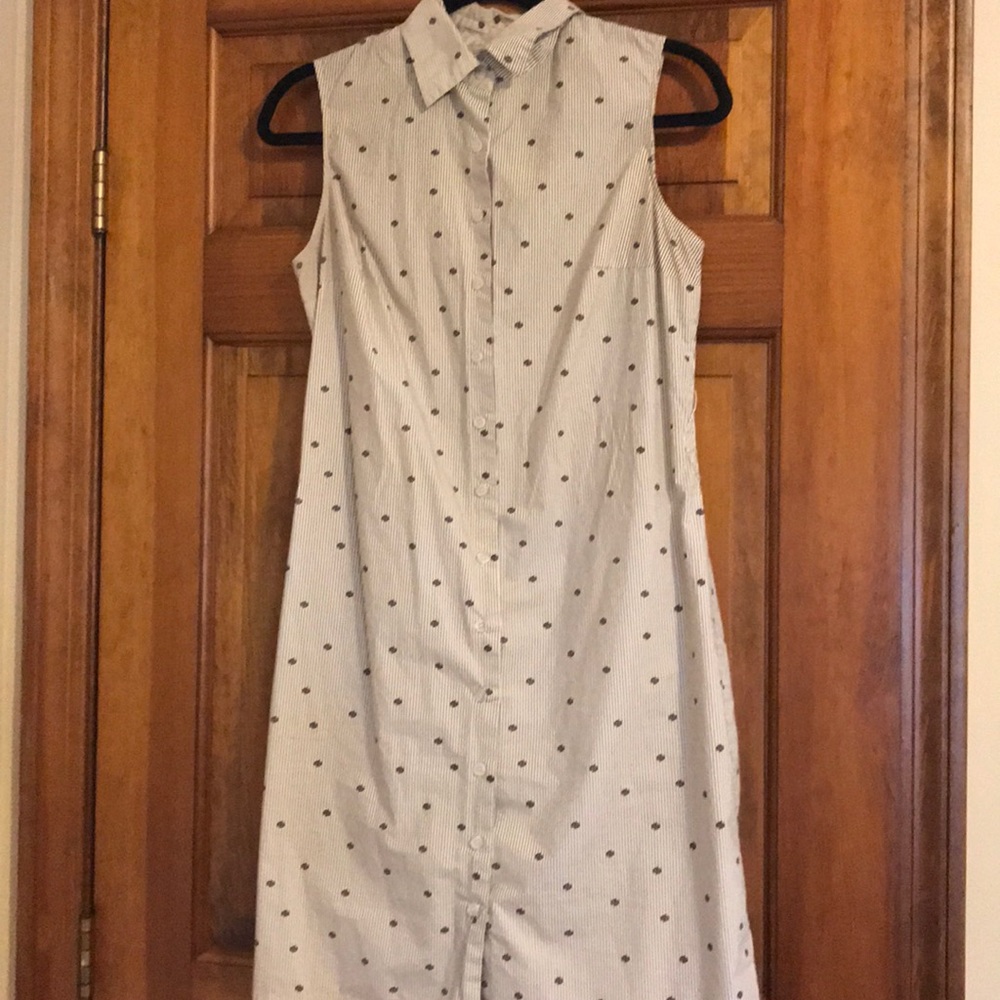 Polka dot shirt dress (Isaac mizrahi for target)