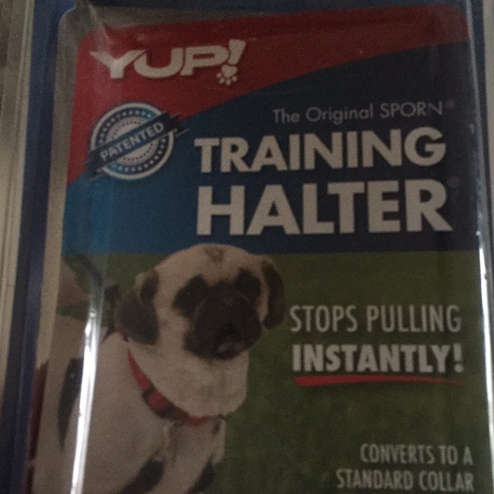 Yup! Training/ no pull dog harness