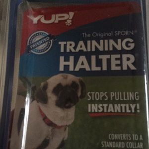 Yup! Training/ no pull dog harness