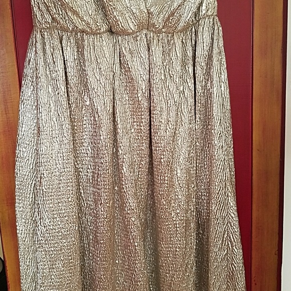 Pewter gown - Picture 5 of 5