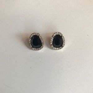 Express Earrings