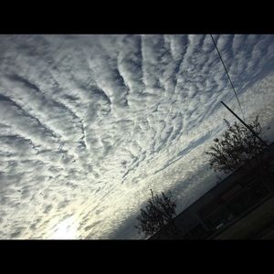 Meet your Posher, Isabel