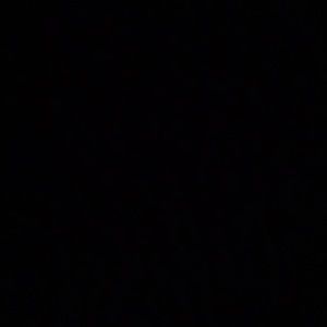 Meet your Posher, Jocelyn