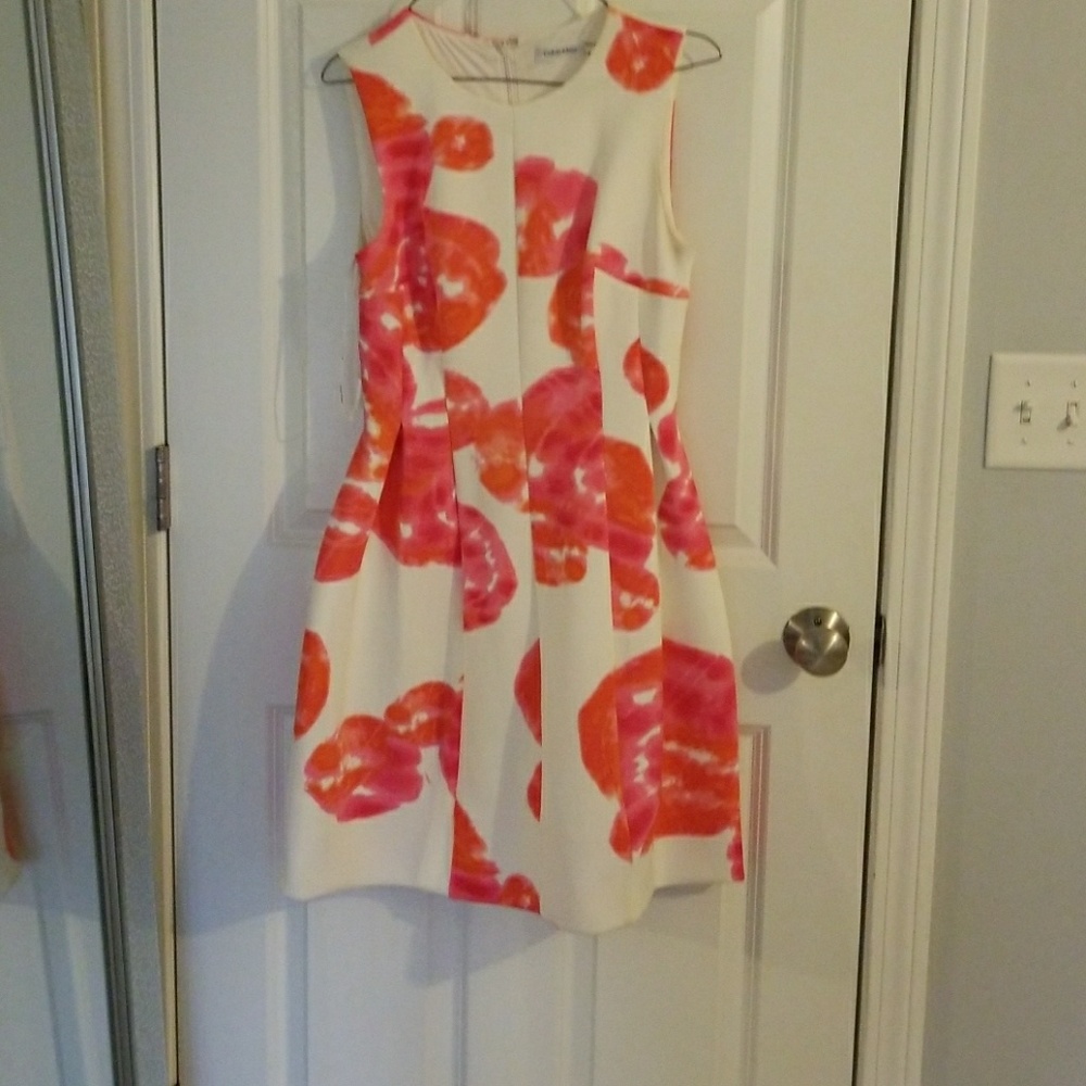Floral Fit and Flare Dress