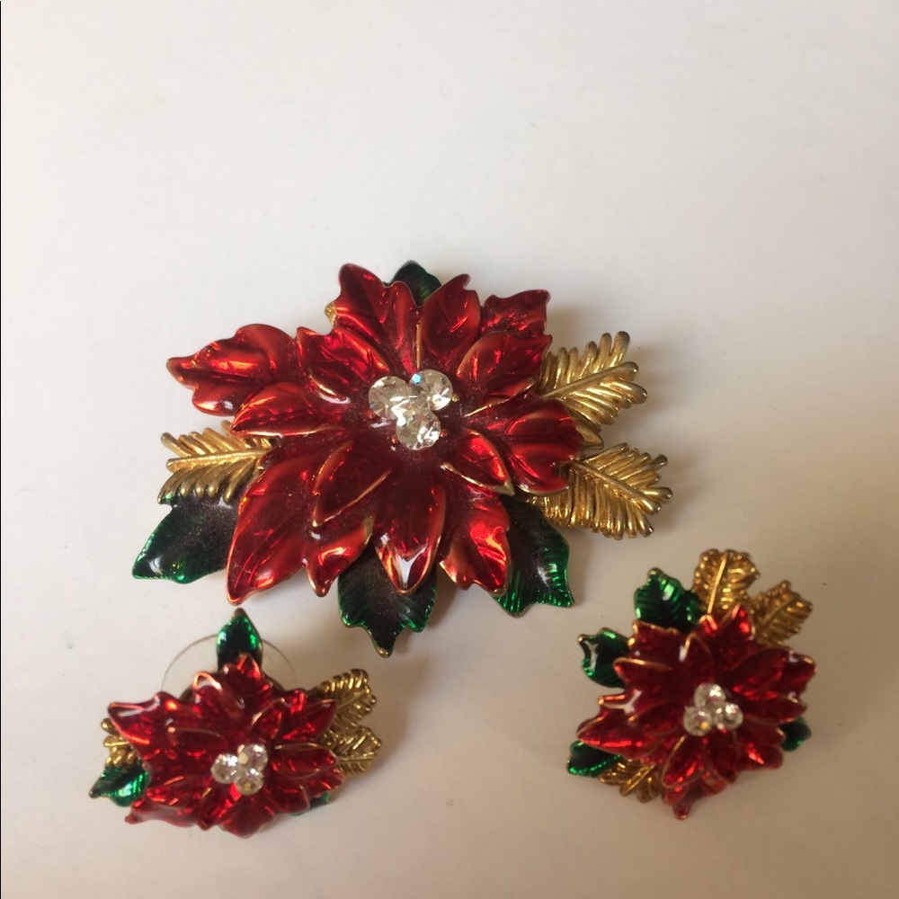 Pin and earrings