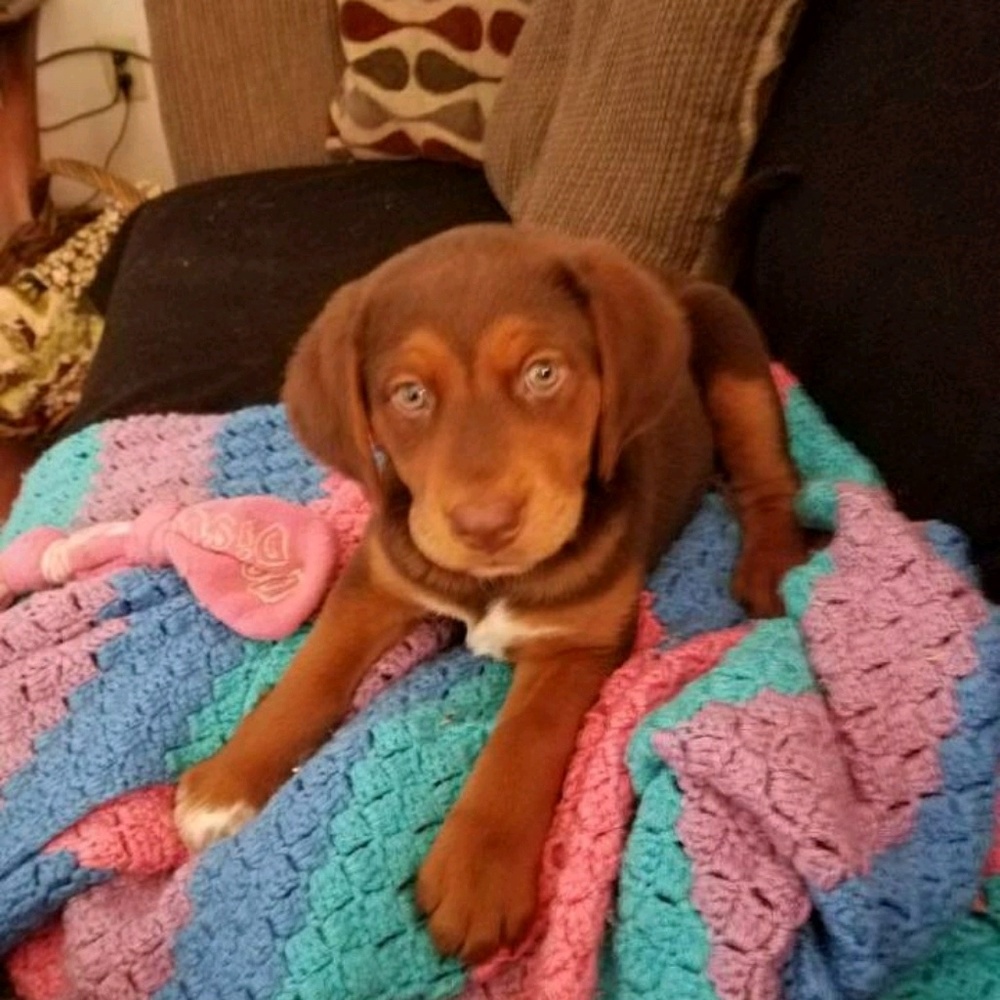 Meet your Posher, Lynde