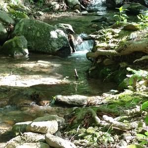 Meet your Posher, Lynda