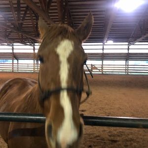 Meet your Posher, Michael