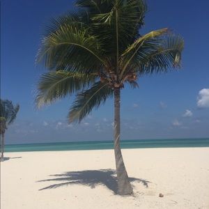 Meet your Posher, Jana