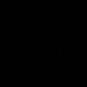 Meet your Posher, Joey