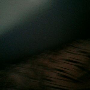 Meet your Posher, Trae