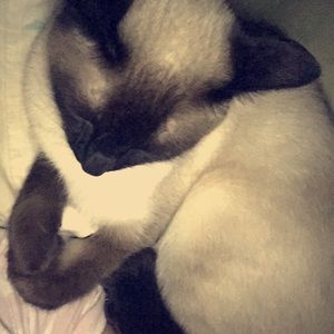 Meet your Posher, Alexandra