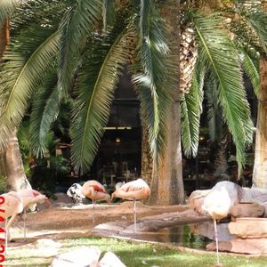 Meet your Posher, Kathryn