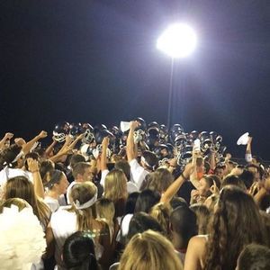 Meet your Posher, Sam