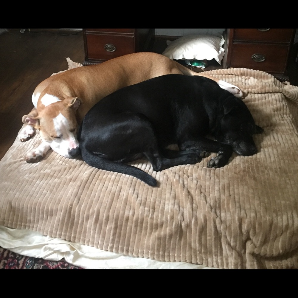 Meet your Posher, Diane