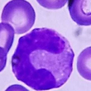 Meet your Posher, Christi