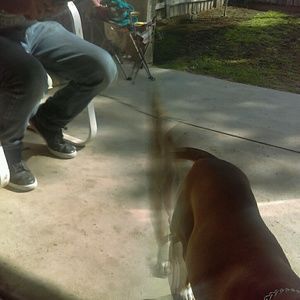 Meet your Posher, Alejandro