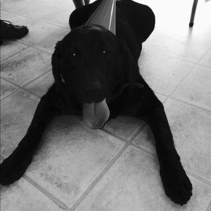 Meet your Posher, Sara