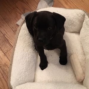 Meet your Posher, Kelly