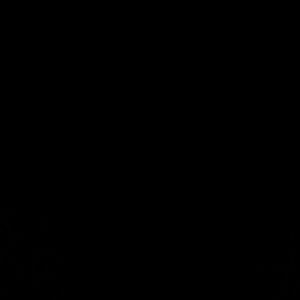 Meet your Posher, Irma