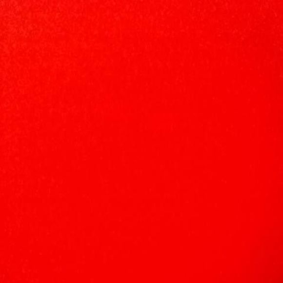 Meet your Posher, Dylan - Picture 1 of 1